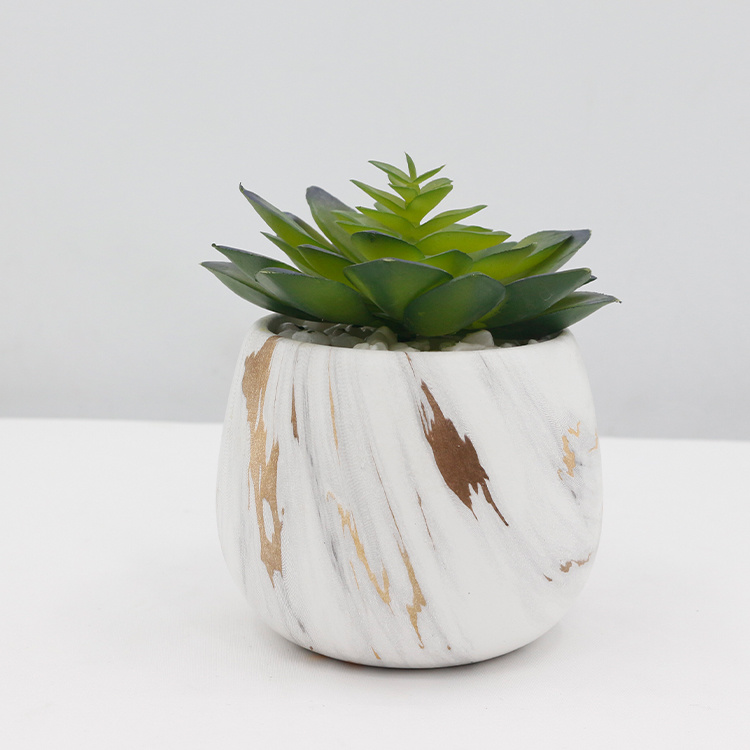 Wholesale-Artificial-Succulent-Plant-Mini-Succulents-for-Home-Hotel-Decorations (1).jpg 